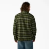 Camisa a cuadros Forest