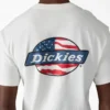 Camiseta con gráfico del logotipo de Americana Camiseta con gráfico del logotipo de Americana