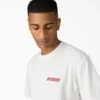 Camiseta con gráfico Dry Ridge Camiseta con gráfico Dry Ridge