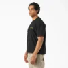 Camiseta Decaturville