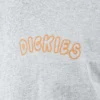 Camiseta Decaturville