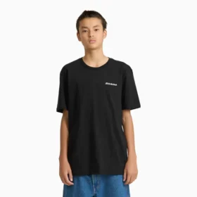 Camiseta gráfica de pantalón corto con escudo Americana
