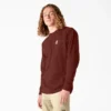 Camiseta gráfica Dickies Skateboarding Diy Skate