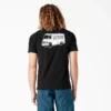 Camiseta gráfica Dickies Skateboarding Pool Drainage