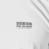Camiseta gráfica Dickies Skateboarding Pool Drainage