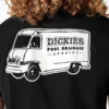 Camiseta gráfica Dickies Skateboarding Pool Drainage