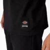 Camiseta gráfica Dickies X Thrasher