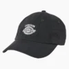 Gorra bordada Dickies X Jameson