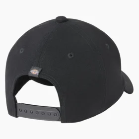 Gorra bordada Dickies X Jameson