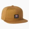 Gorra de skateboarding Mid Pro de Dickies Skateboarding Gorra de skateboarding Mid Pro de Dickies Skateboarding