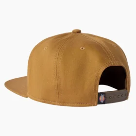 Gorra de skateboarding Mid Pro de Dickies Skateboarding