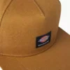 Gorra de skateboarding Mid Pro de Dickies Skateboarding Gorra de skateboarding Mid Pro de Dickies Skateboarding