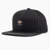 Gorra de visera plana con cierre a presión para Dickies Skateboarding de Dickies Gorra de visera plana con cierre a presión para Dickies Skateboarding de Dickies