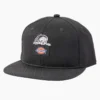 Gorra de visera plana Dickies X Lurking Class Gorra de visera plana Dickies X Lurking Class