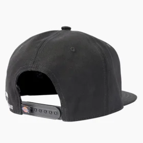 Gorra de visera plana Dickies X Lurking Class
