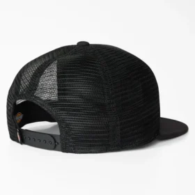 Gorra Trucker con parche de Dickies