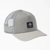 Gorra Trucker de Dickies Skateboarding