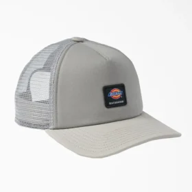 Gorra Trucker de Dickies Skateboarding