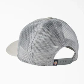 Gorra Trucker de Dickies Skateboarding