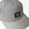 Gorra Trucker de Dickies Skateboarding