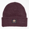 Gorro de bucle con vuelta de Dickies Skateboarding para skateboarding Gorro de bucle con vuelta de Dickies Skateboarding para skateboarding