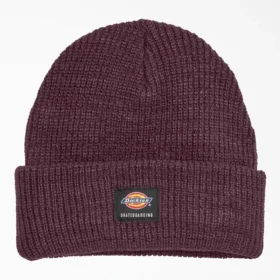 Gorro de bucle con vuelta de Dickies Skateboarding para skateboarding