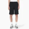 Pantalones cortos de corte holgado Grants Pass de Dickies Skateboarding, 9″ Pantalones cortos de corte holgado Grants Pass de Dickies Skateboarding, 9″