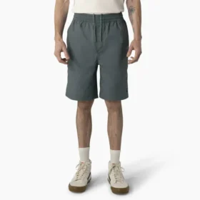 Pantalones cortos de corte holgado Grants Pass de Dickies Skateboarding, 9″