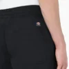 Pantalones cortos de corte holgado Grants Pass de Dickies Skateboarding, 9″ Pantalones cortos de corte holgado Grants Pass de Dickies Skateboarding, 9″