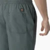 Pantalones cortos de corte holgado Grants Pass de Dickies Skateboarding, 9″ Pantalones cortos de corte holgado Grants Pass de Dickies Skateboarding, 9″