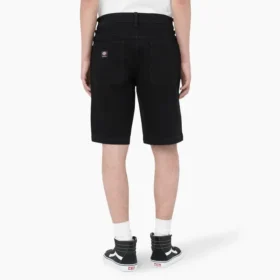 Pantalones cortos Dickies Skateboarding Wingville de corte holgado, 11″