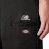 Pantalones de corte regular con Double Knee de Dickies X Lurking Class