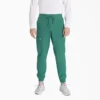 Pantalones jogger de trabajo Eds Nxt para hombre Pantalones jogger de trabajo Eds Nxt para hombre