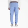 Pantalones jogger de trabajo Eds Nxt para hombre