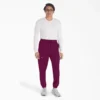 Pantalones jogger de trabajo Eds Nxt para hombre Pantalones jogger de trabajo Eds Nxt para hombre