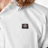 Polo de rugby de Dickies Skateboarding Polo de rugby de Dickies Skateboarding