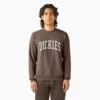 Sudadera Aitkin