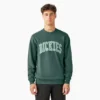 Sudadera Aitkin
