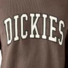 Sudadera Aitkin