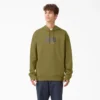Sudadera con capucha de felpa con relieve de Dickies Skateboarding Sudadera con capucha de felpa con relieve de Dickies Skateboarding