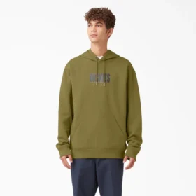 Sudadera con capucha de felpa con relieve de Dickies Skateboarding