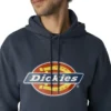 Sudadera con capucha y logo repelente al agua Sudadera con capucha y logo repelente al agua