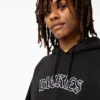 Sudadera con capucha y logo Union Springs