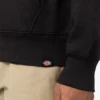 Sudadera con capucha y logo Union Springs