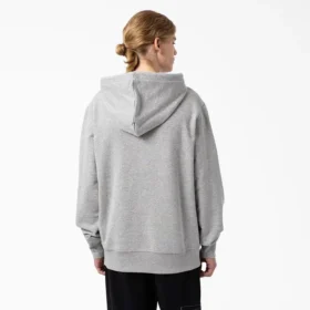 Sudadera con capucha y logotipo en el pecho de Dickies Skateboarding