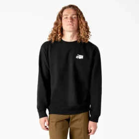 Sudadera con gráfico de drenaje de piscina de Dickies Skateboarding