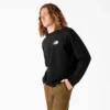 Sudadera con gráfico de drenaje de piscina de Dickies Skateboarding Sudadera con gráfico de drenaje de piscina de Dickies Skateboarding
